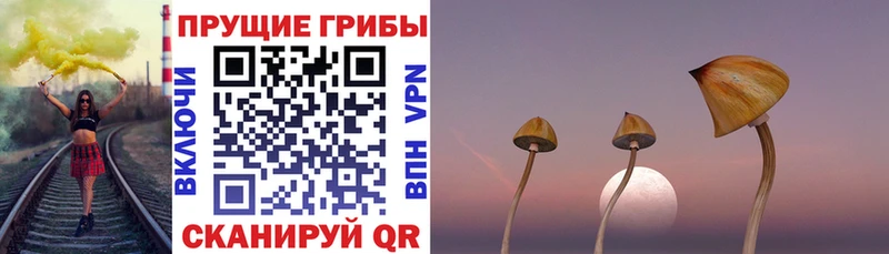 Галлюциногенные грибы Cubensis  купить наркотик  Староминская 